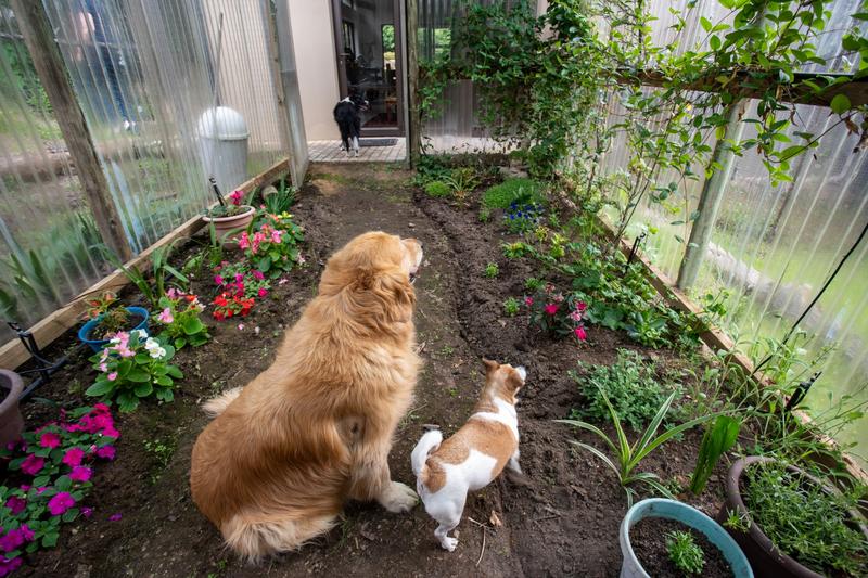 3 Bedroom Property for Sale in Plettenberg Bay Rural Western Cape